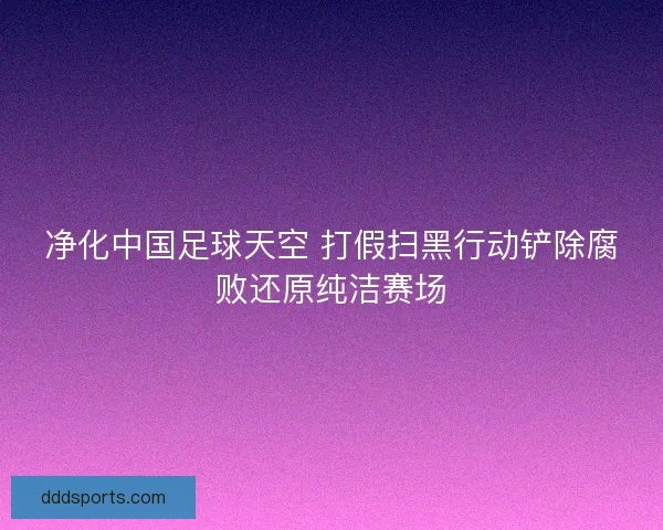 净化中国足球天空 打假扫黑行动铲除腐败还原纯洁赛场
